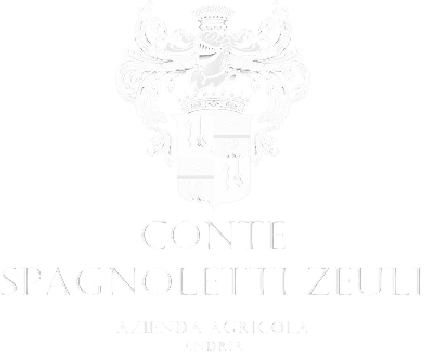 CONTE SPAGNOLETTI ZEULI