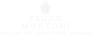 FEUDO MONTONI