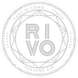 RIVO GIN